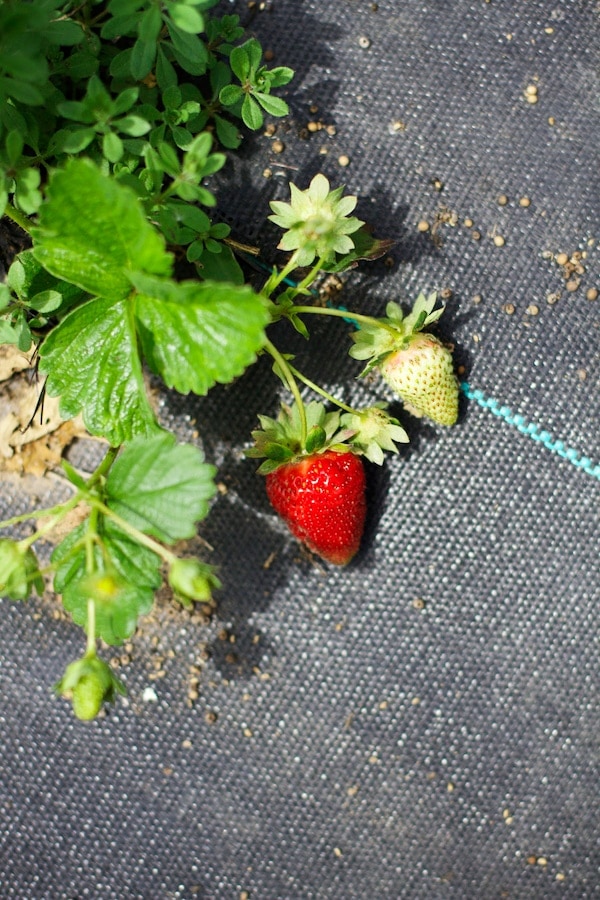 IMG_0375_edited-1
