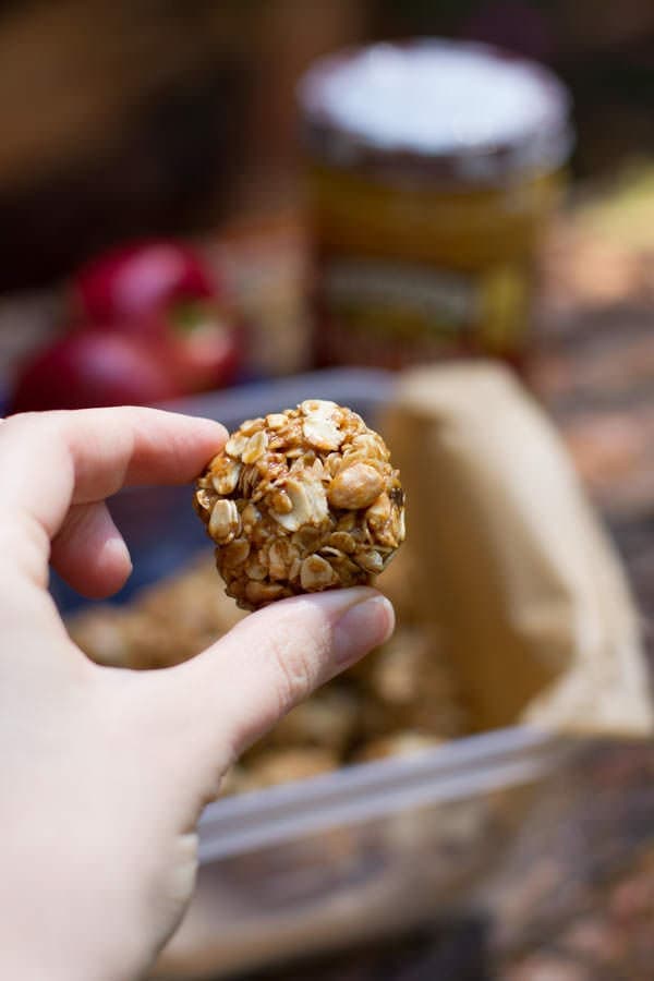 Double Peanut Granola Bites
