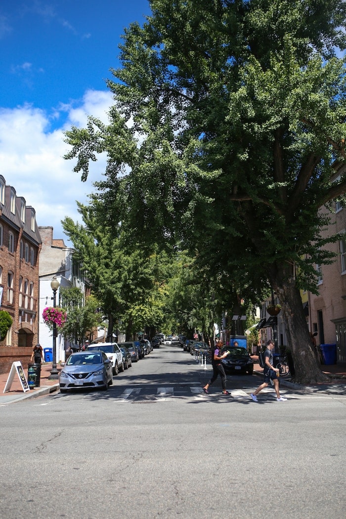 A group of people walking down a street next to a tree