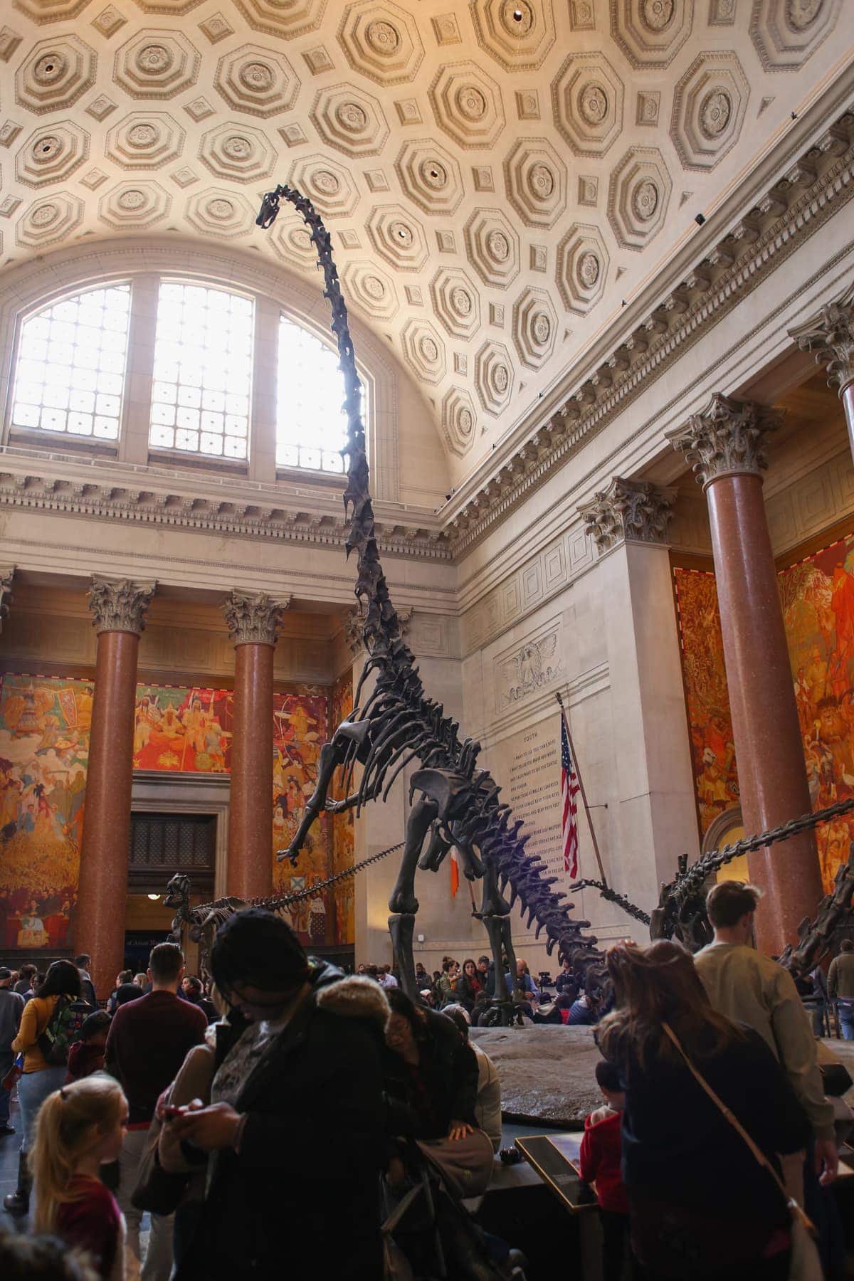 Inside the American Museum of Natural History