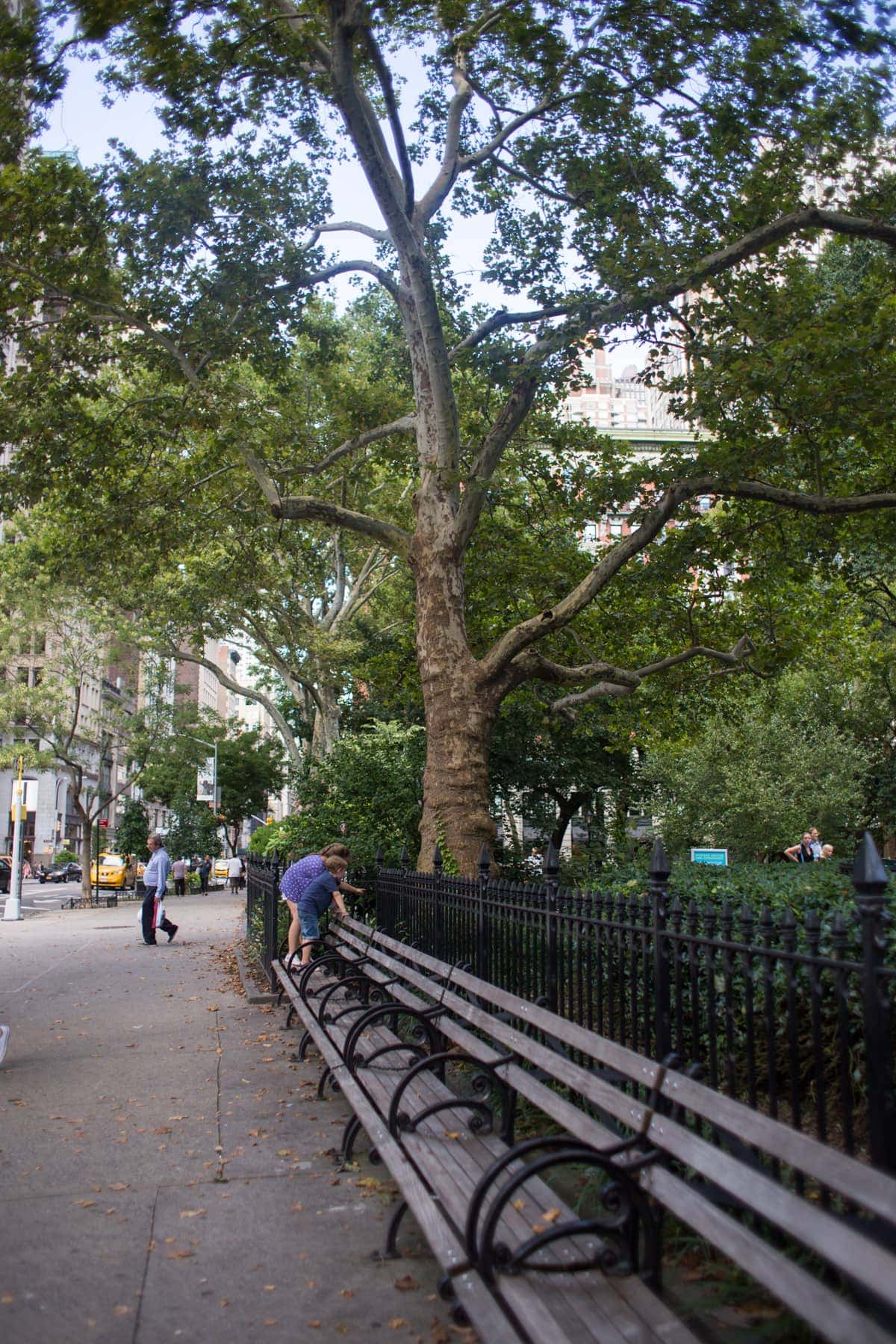 A group of people walking down a street next to a tree