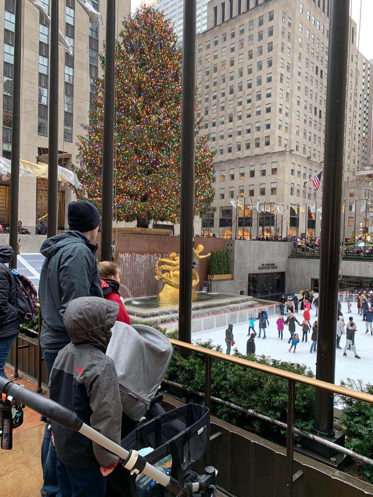 Family looking down towards ice skaters