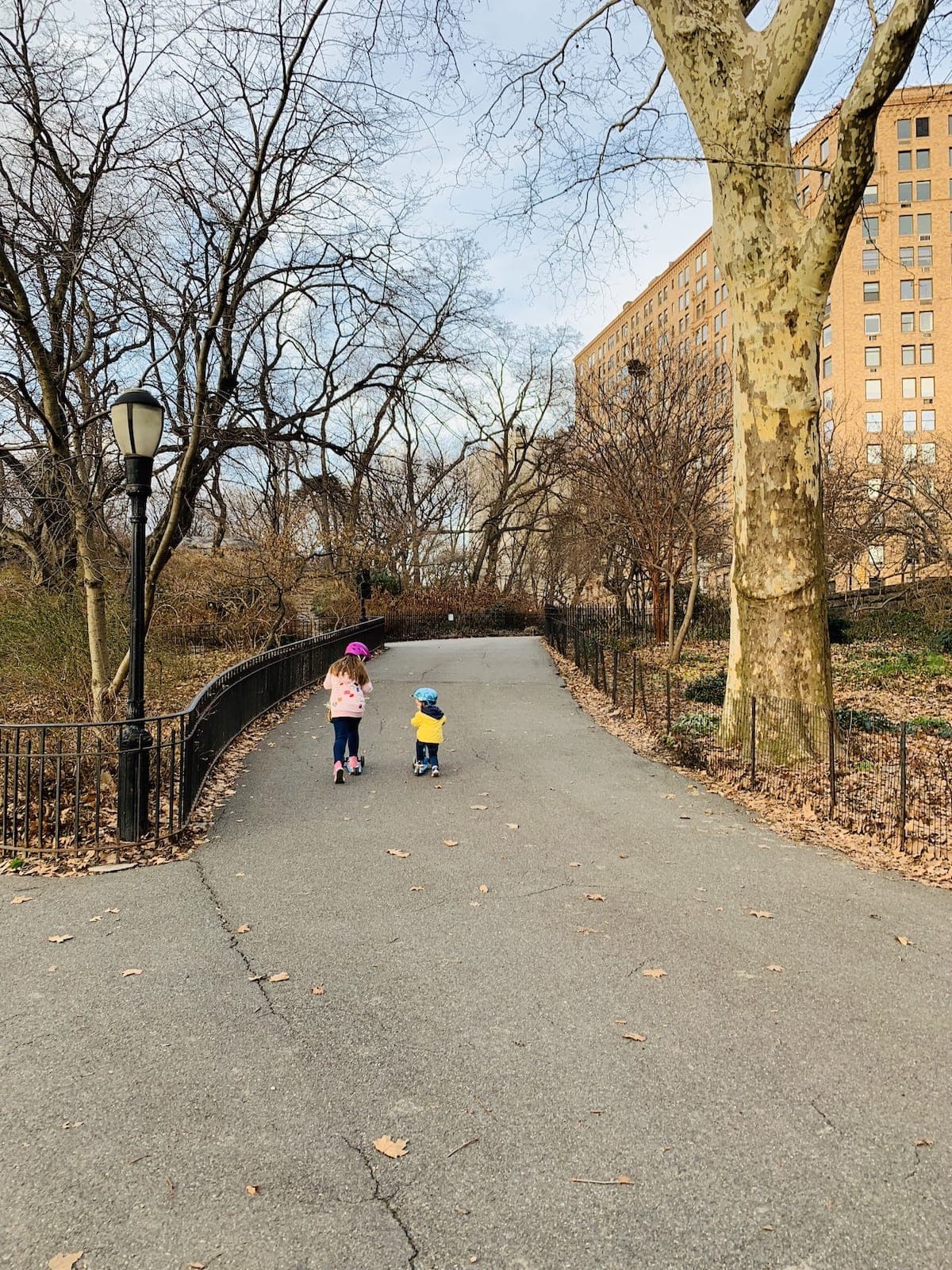 Kids scootering down a path