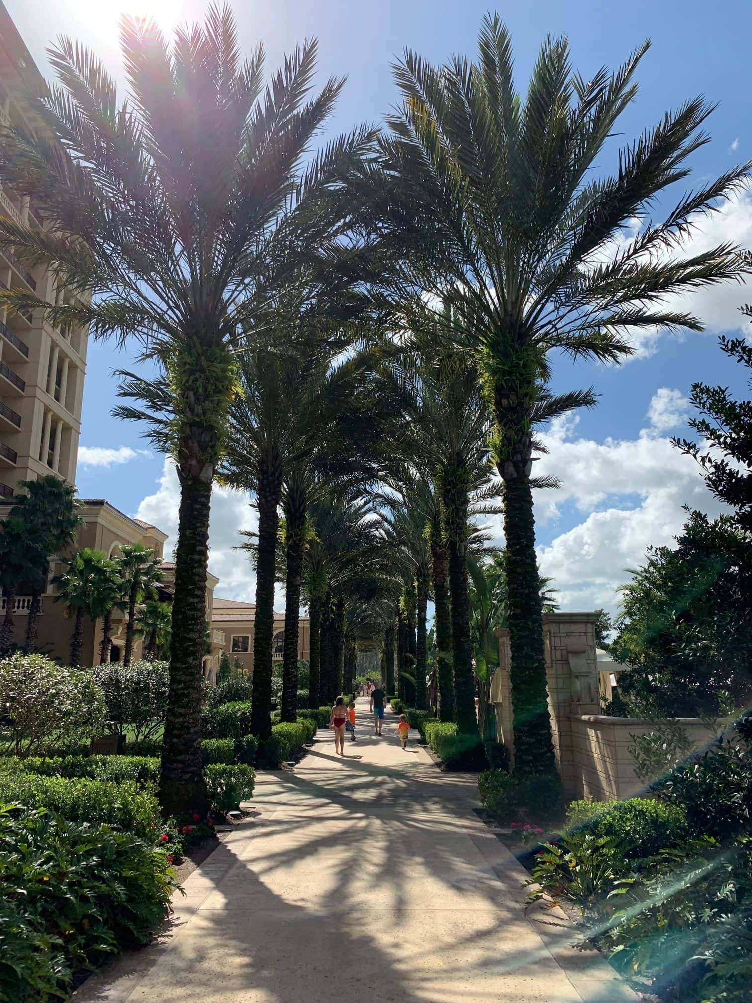 people walking down a path lined with palm trees