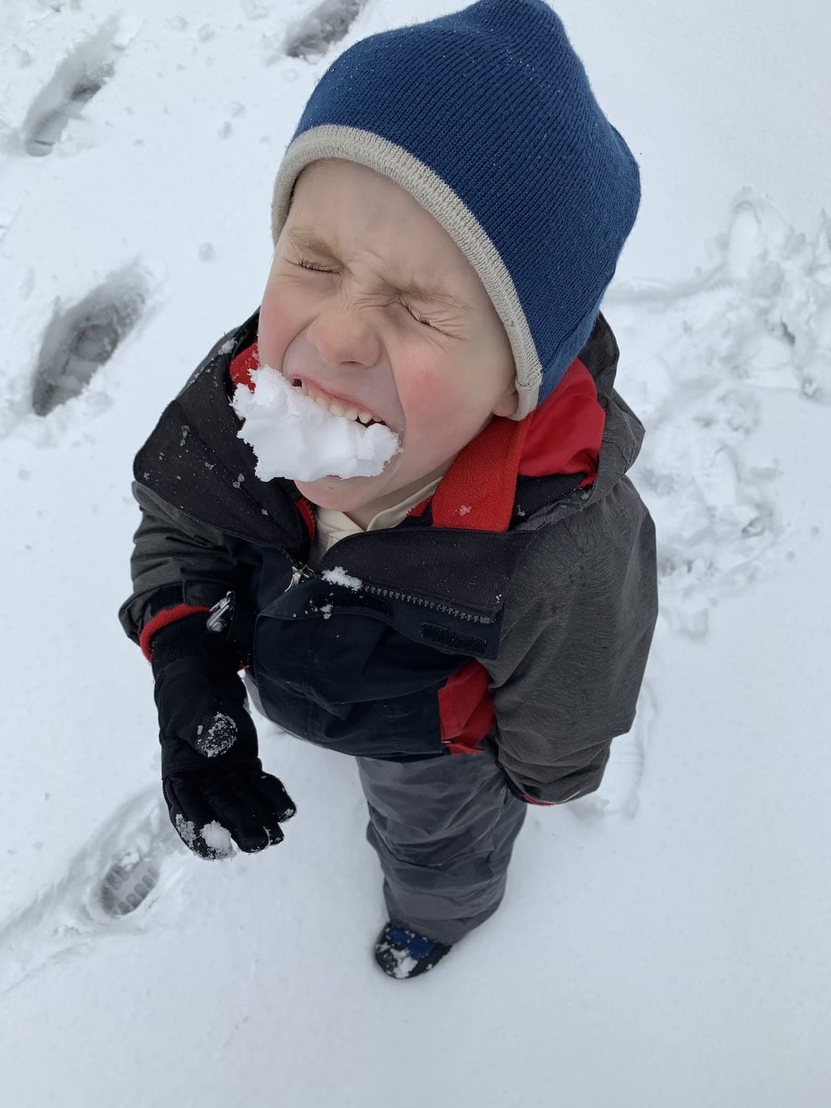 blake with snow in his mouth