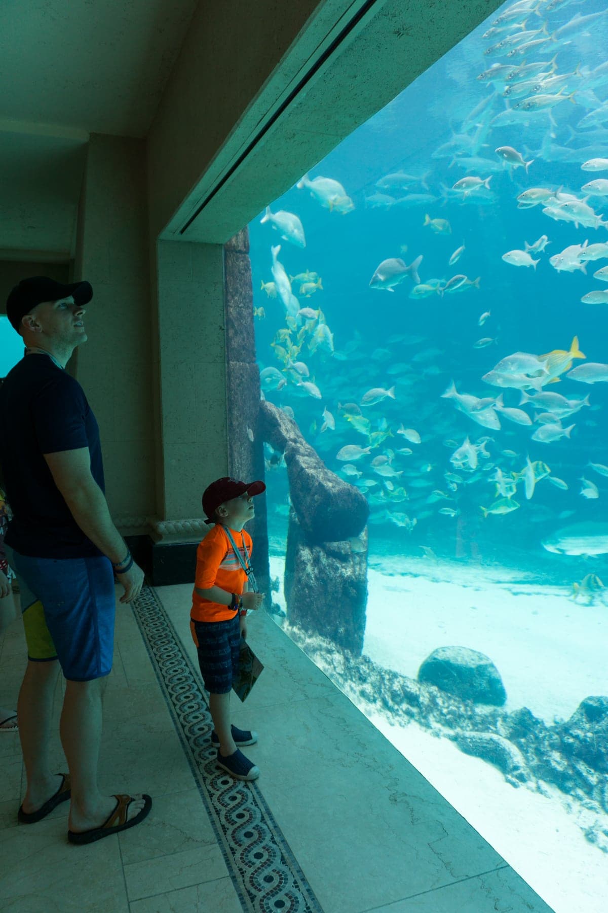 Gordon and Blake cooking fish
