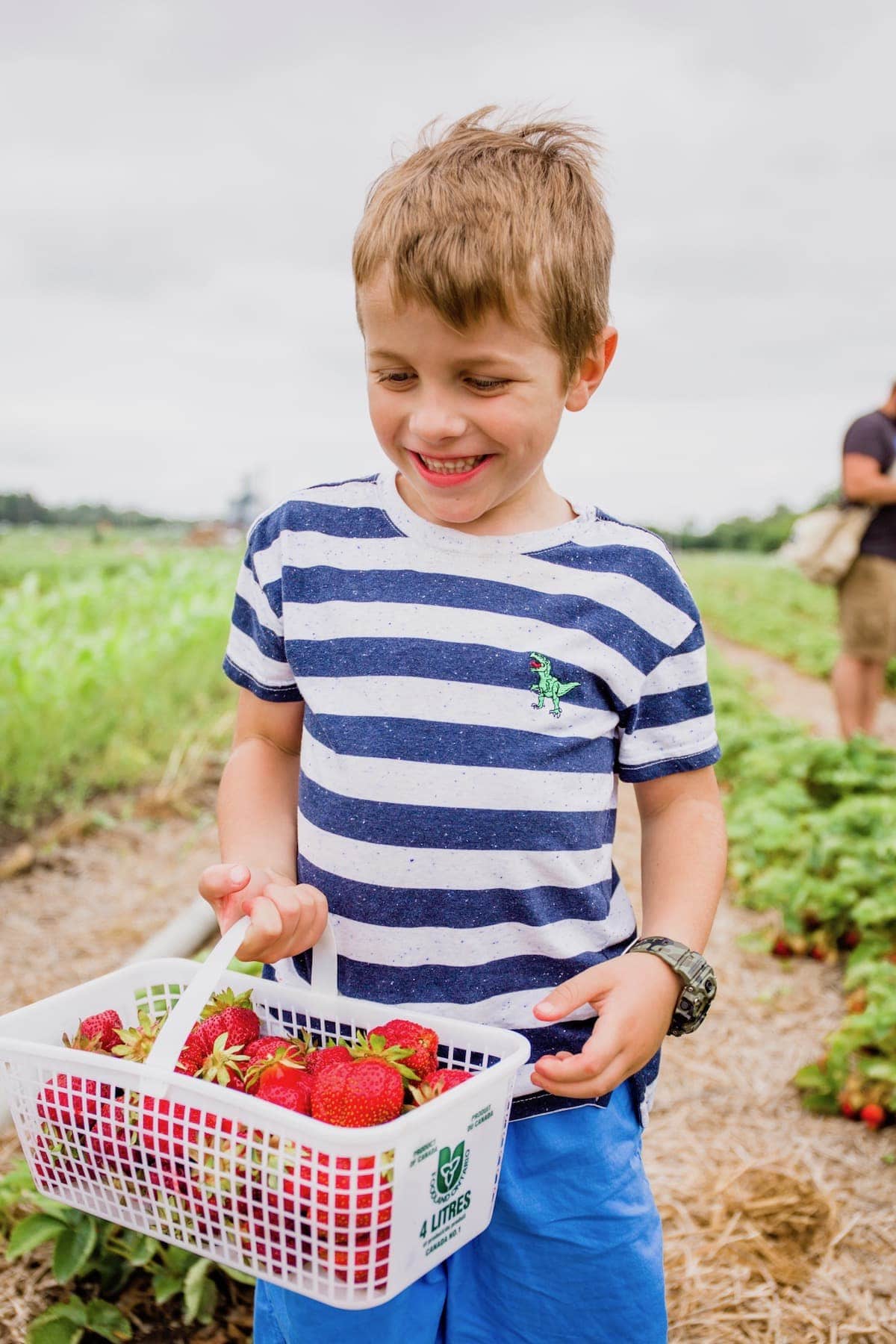 Blake with a basket of strawberries
