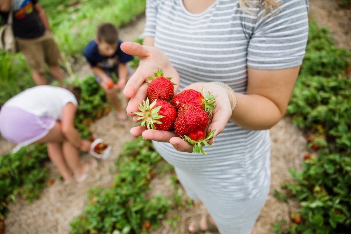 Lauren holding strawberries in hands