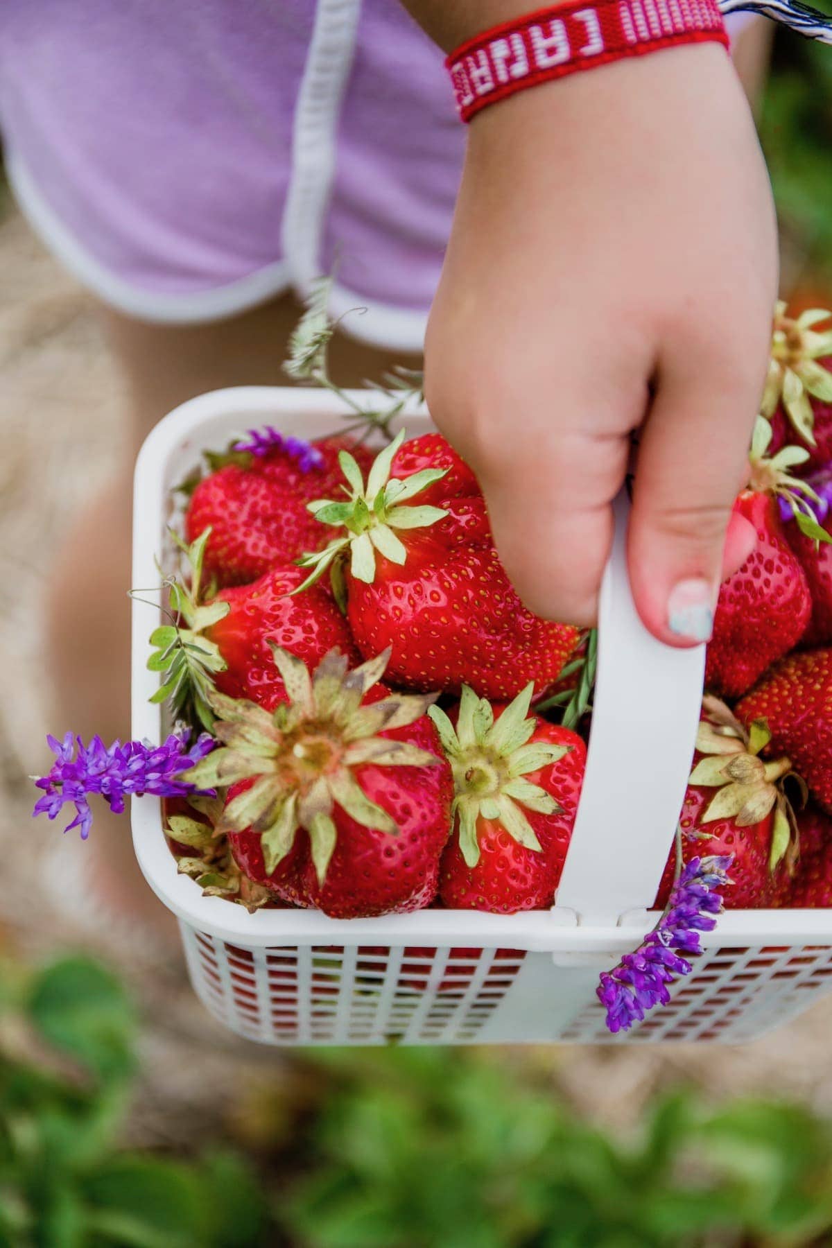 Close up of Brookes strawberry basket filled with strawberries and flowers