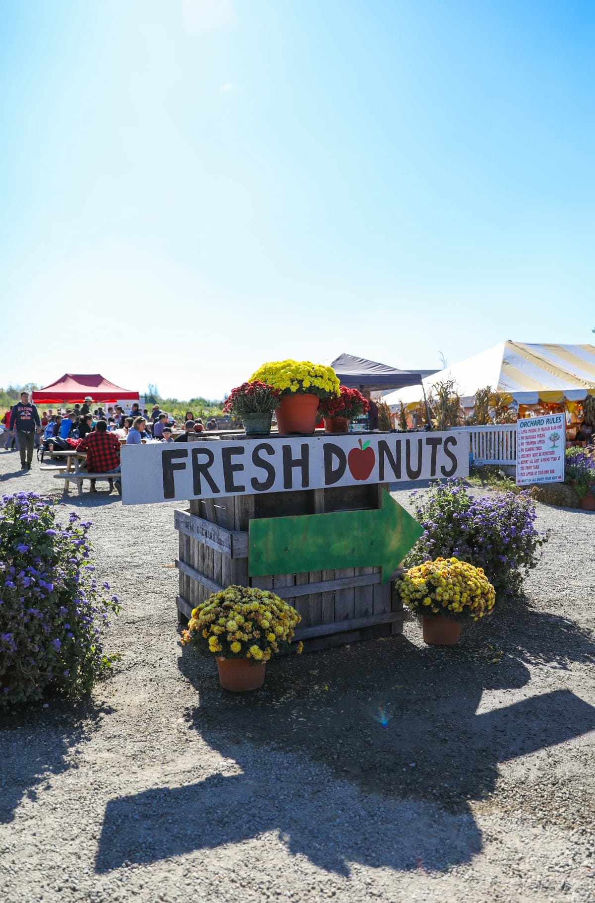 Fresh Donuts sign at the pumpkin patch