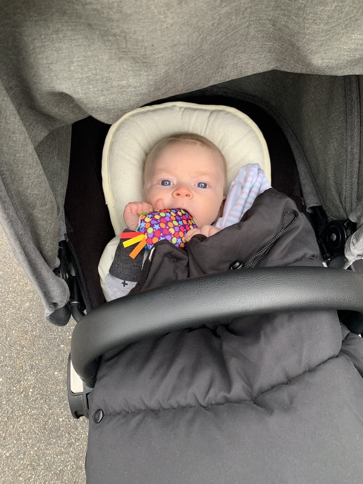Porter in a stroller